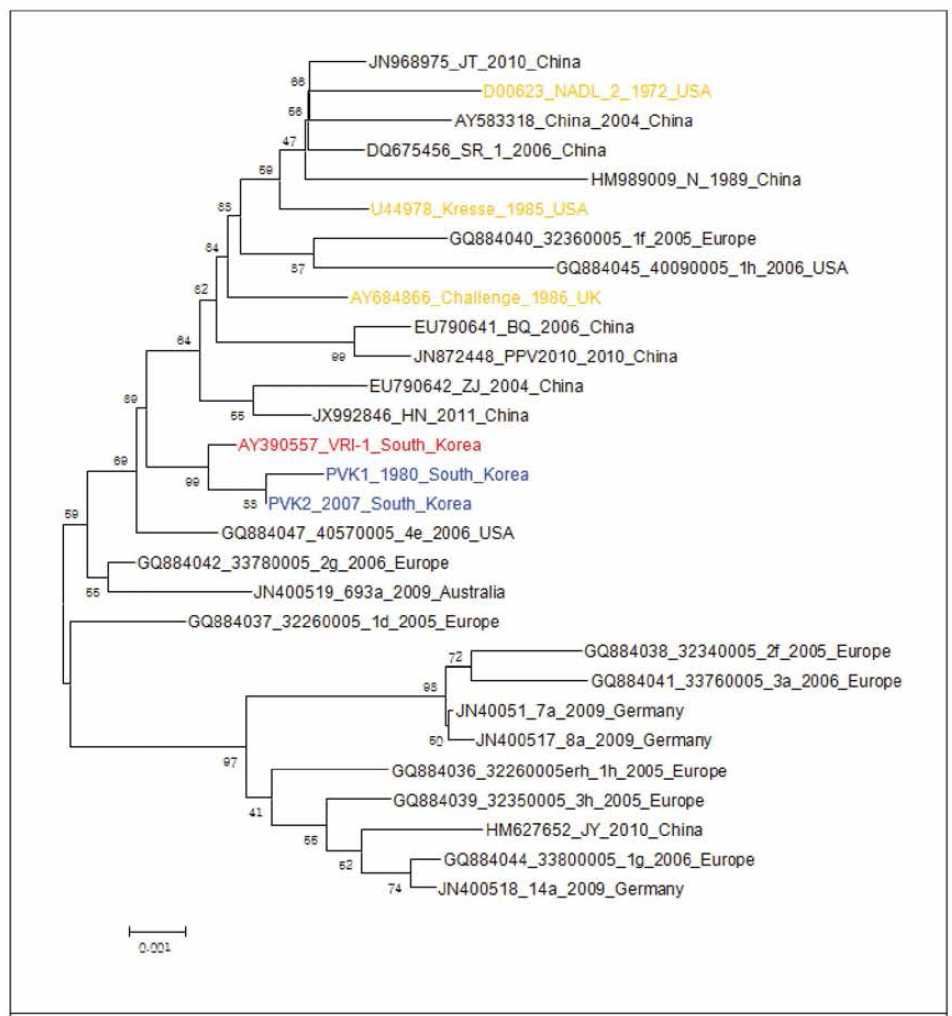 국내분리주 VRI-I의 NS1 유전자염기서열 비교 결과 - 기존에 보고된 29개 파보바이러스의 NS1 유전자 1,964bp 분석, (MEGA6.0 Neighbor joining methods, TN93+G, bootstrap value: 1,000)