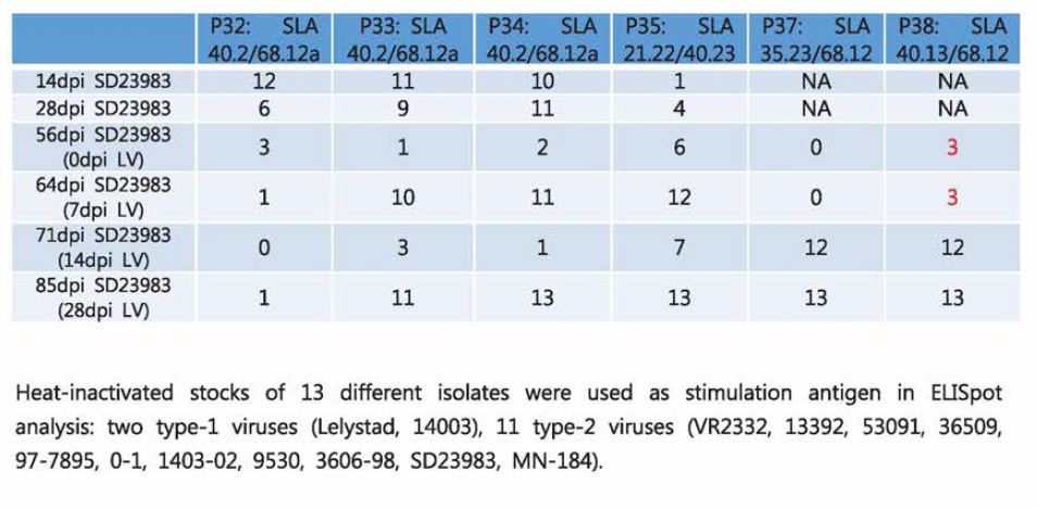 Evaluation on cross-reactive CMI in PRRSV-infected piglets using diverse isolates