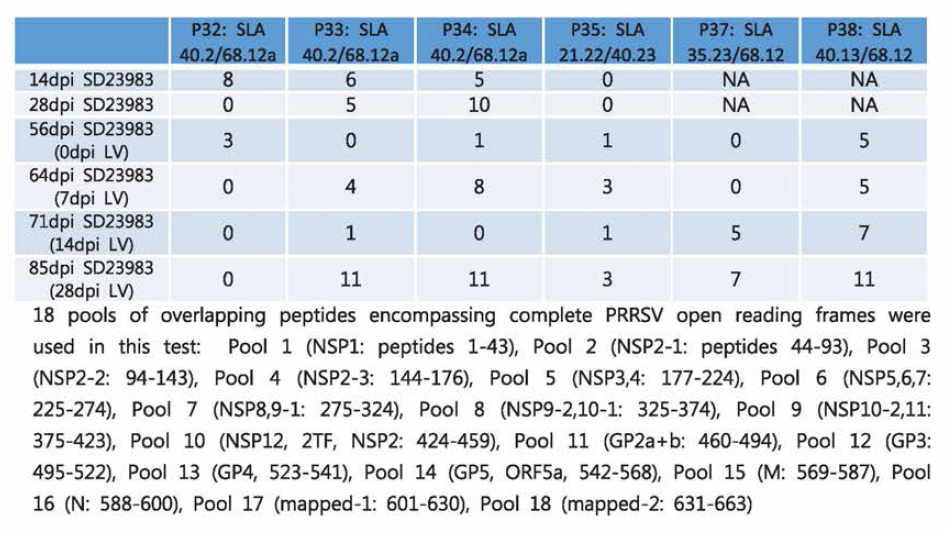 Diverse localization of cross-reactive CMI epitopes in PRRSV ORFs