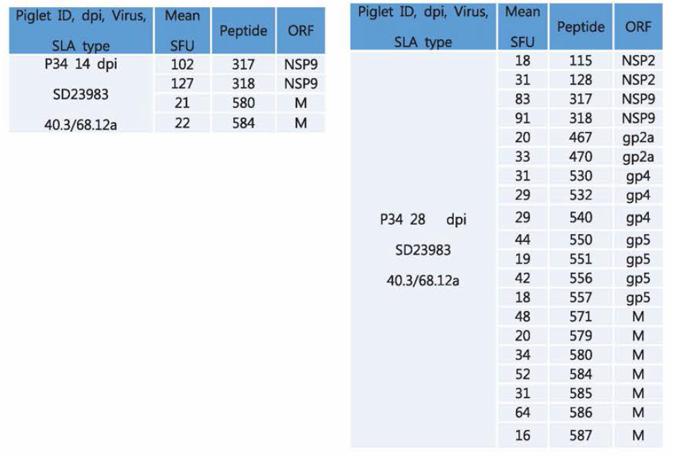 Dramatic increase in epitope repertoire between 14 and 28 dpi in piglet 34: 4 epitope versus 20 epitopes