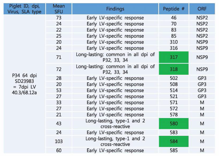 Rapid increase and change in epitope repertoire after LV challenge in piglet 34