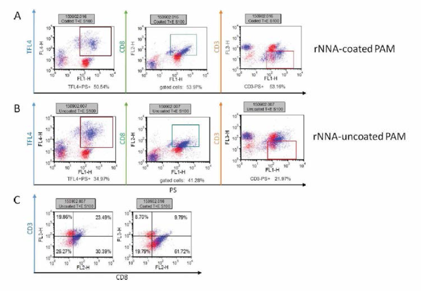 Results of cytotoxiaty assay for PAM cells, CD3+ and CD8+ cells with PRRSV NNA antigen (A) and without PRRSV NNA antigen (B)