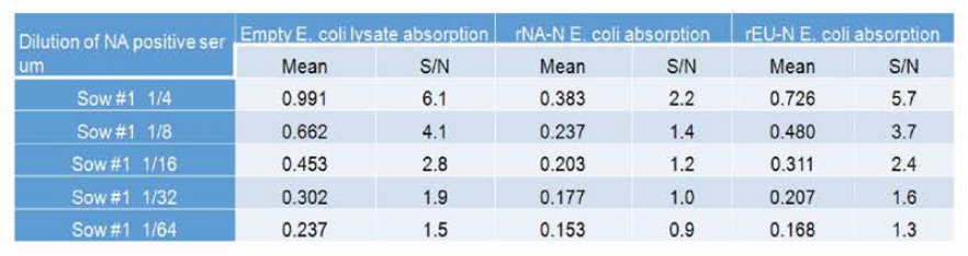 NA type PRRS 바이러스에 의한 항체를 NA type 항원으로 처리한 결과