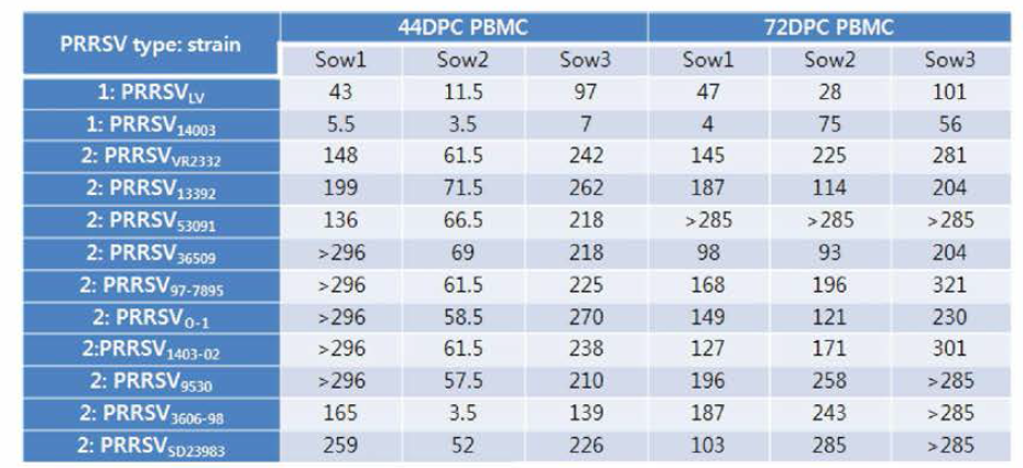 PRRS 바이러스로 접종된 모돈(sow 1, 2, 3)의 CMI 반응