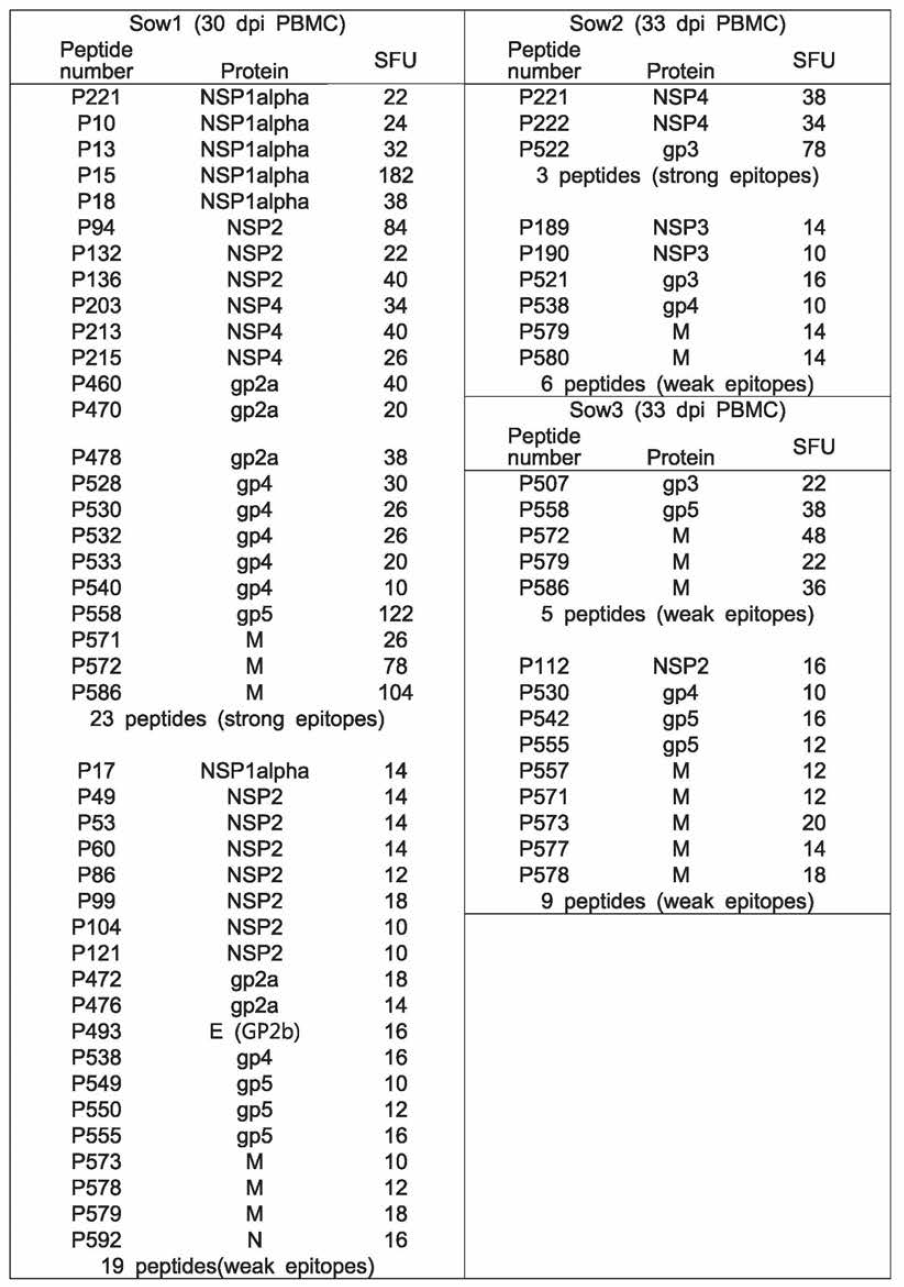 SLA type이 다른 돼지에서 합성한 개별 peptide에 대한 CMI 반응 분석