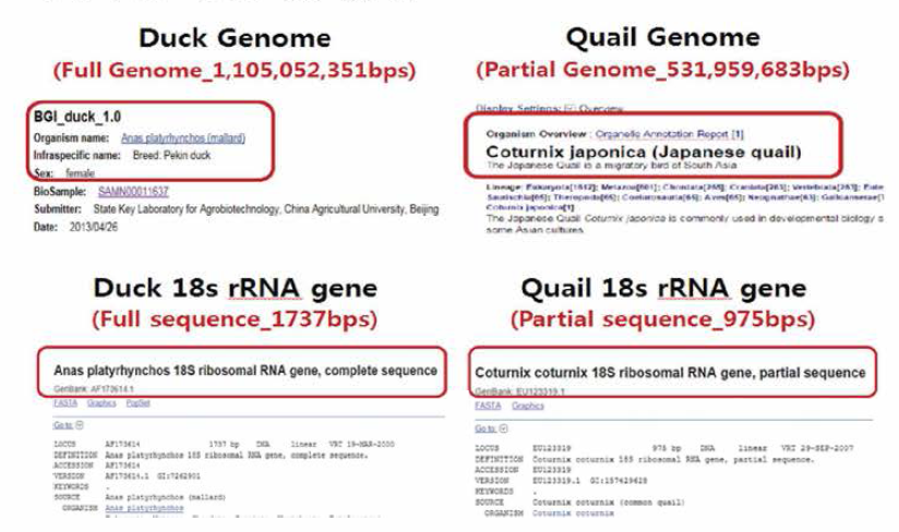 NCBI; Genebank, database 자료