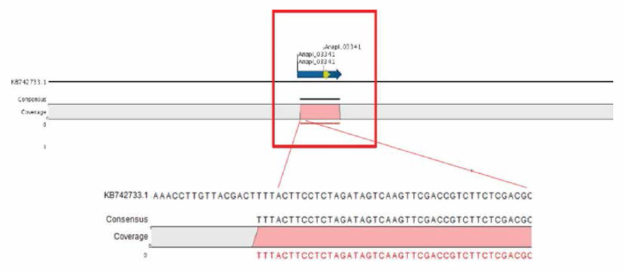 오리 Genome의 18S RNA 부위 탐색 결과