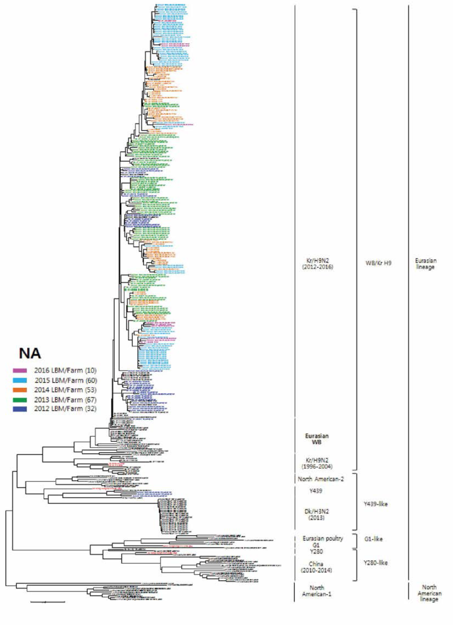 H9N2 분리주 NA 유전자의 phylogenetic tree 분석결과