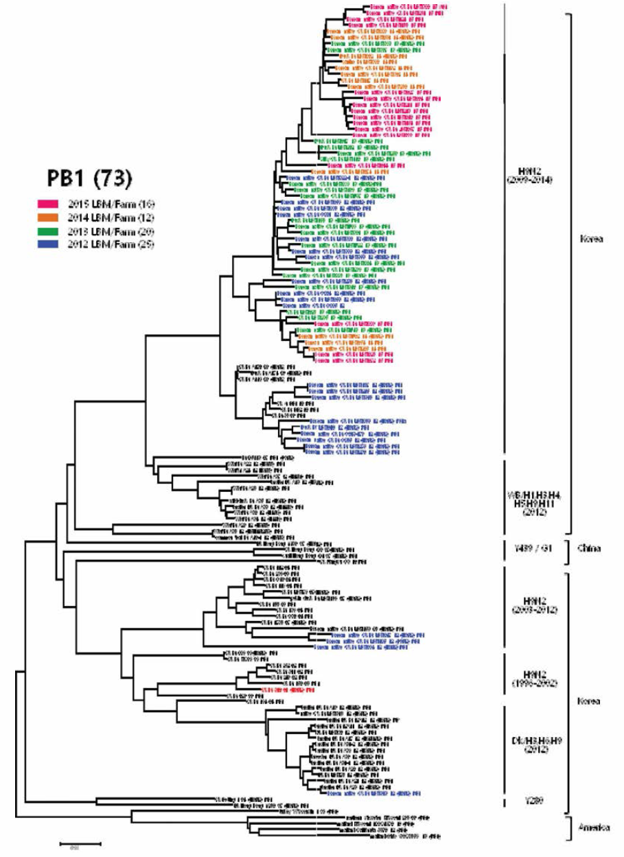 H9N2 분리주 PB1 유전자의 phylogenetic tree 분석결과