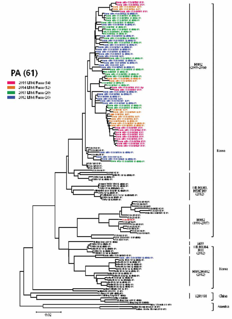 H9N2 분리주 PA 유전자의 phylogenetic tree 분석결과