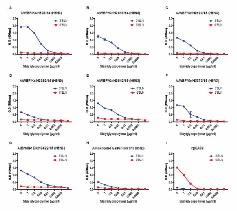 저병원성 H5형 조류인플루엔자 바이러스의 숙주 리셉터에 대한 결합 친화도 (binding specificity) 분석