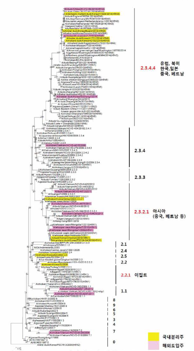 최근 유행 H5형 HPAI 바이 러스에 대한 Phylogenetic tree (Clade 구분) 노란색 표시; 대표주, 빨간색 Clade; 최근 유행 유전형