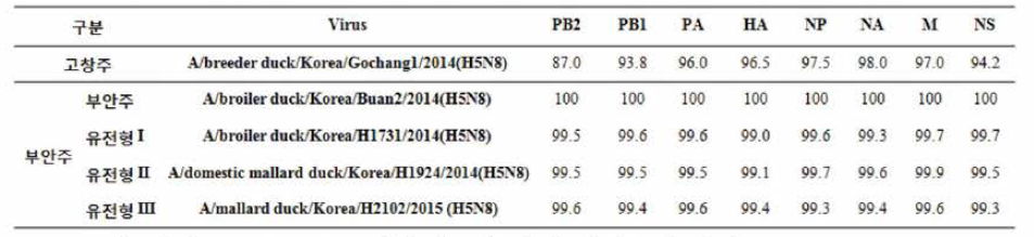 국내 분리 H5N8 HPAI 바이러스에 대한 유전자 상동성 비교