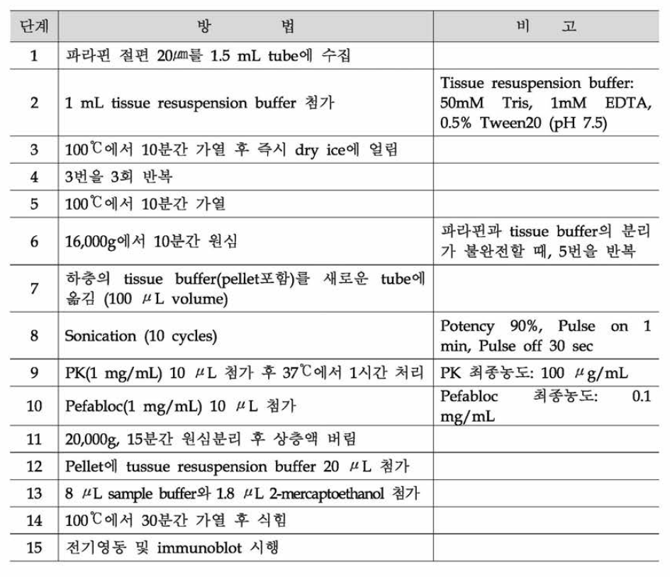 FFPE조직에 대한 웨스턴블로팅법