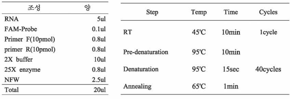 Real-time RT-PCR 조건