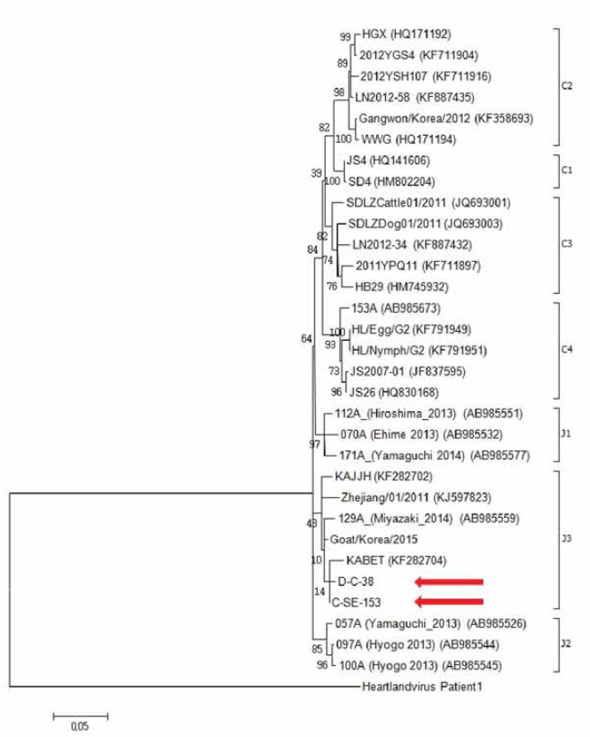 유기견 1 두에서 검출된 SFTS 바이러스의 계통분석 결과(Yosikawa et al.,2015). * 빨간색 화살표: 본 연구에서 검출된 SFTS 바이러스의 염기서열 (D-C-38, 유기견 시료; C-SE-153, 유기묘 시료)