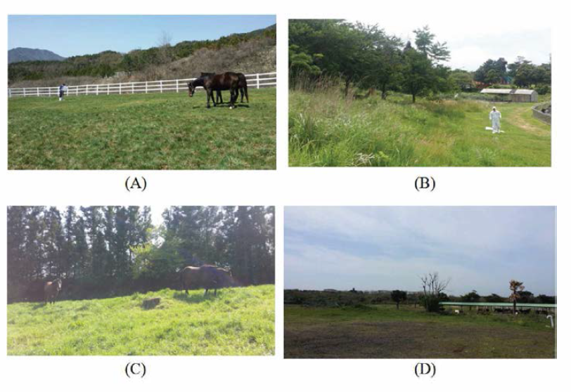 진드기 채집. (A)장수육성목장，(B)제주경마공원，(C)말 목장, (D)승마장