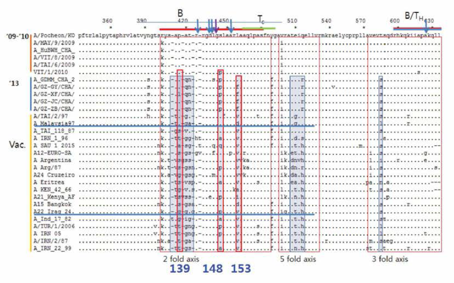 Amino acid comparison (VP1) of type A FMDV (Korean isolates) and typical vaccine strains