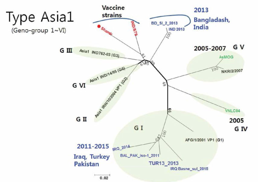 Phylogenetic tree of type Asial vaccine candidate and genotype G1〜GVI viruses