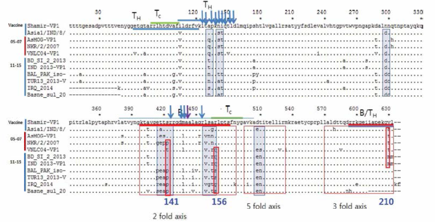 Amino acid comparison (VP1) of type Asial FMDV (Korean isolates) and typical vaccine strains