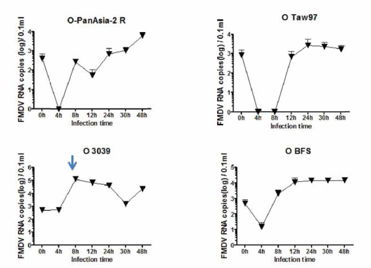 Growth kinetics of type O strains in suspension BHK-21-S cells, 0.1 m.o.i (1 X 107.0 cells)