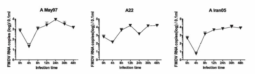 Growth kinetics of type A strains in suspension BHK-21-S cells, 0.1 m.o.i (1 X 107.0 cells)