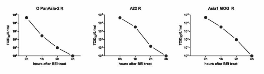 Inactivation kinetics of vaccine strains, 0, A, Asia1 serotype