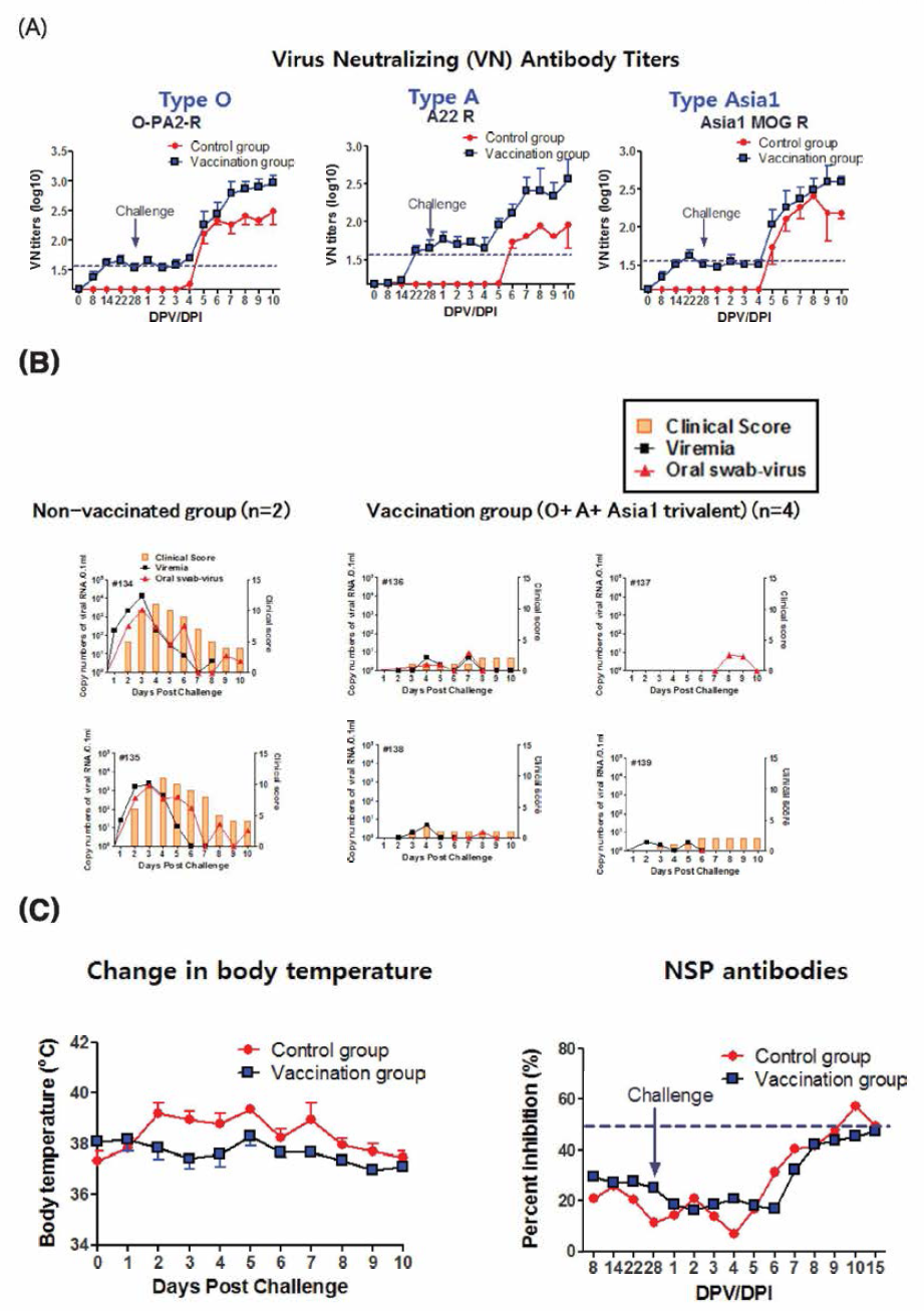 Preliminary evaluation of mmunogenicity after 3 main serotype (trivalent) vaccination and challenge to pigs. Vaccinated by intramuscular injection with ED+AL(each 7.5μg /2ml, total 22.5 μg of antigen). Vaccinated (n=4) and non-vaccinated (n=2) groups were tested. The vaccinated groups were challenged with three homologous viruses. (A) VN titer against challenged virus (B) Clinical score and virus excretion in 3 main serotype- vaccination groups (pigs). (C) Body temperature and NSP antibody after vaccination and challenge