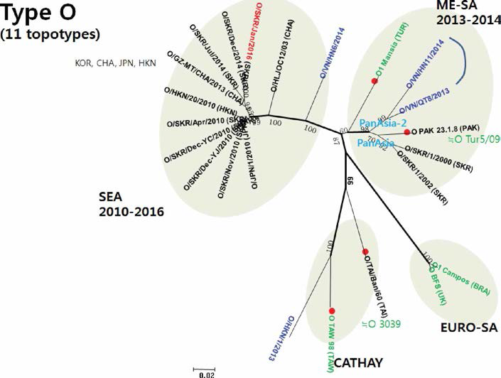 Phylogenetic tree of type O vaccine candidate, ME-SA, Cathay, Euro-SA, SEA topotype viruses