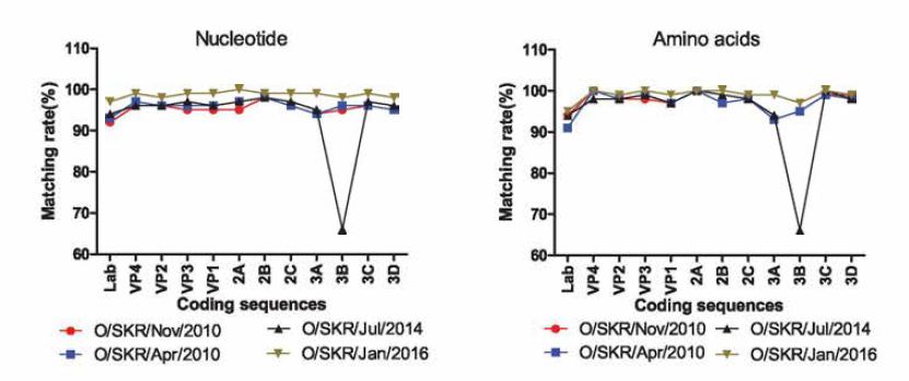 Sequence homology between Korean isolates (SEA topotype) based on recent Korean isolate (Jincheon 2014)