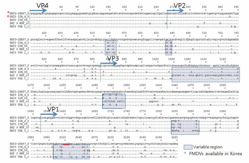 Sequence analysis of structural protein coding (P1) region in type SAT3 FMDV among vaccine candidates or available recent isolates.