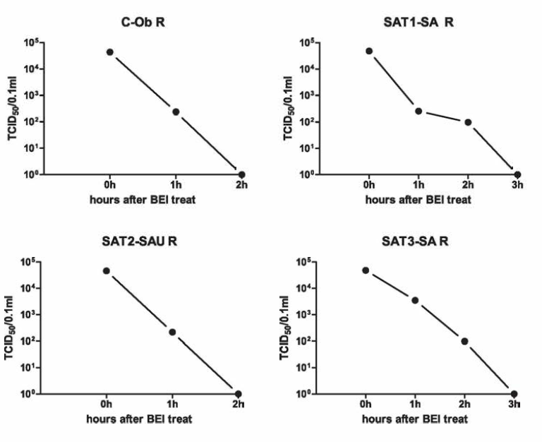 Inactivation kinetics of type C, SAT1, SAT2，and SAT3 FMDV vaccine candidates