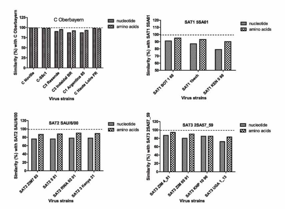 Similarity analysis of nucleotide and amino acids of FMDV type SAT1，SAT2, SAT3, and C between vaccine candidate and recent isolates. The FMD viruses, C Oberbayem, SAT1 5SSA61, SAT2 SAU/6/00, SAT3 2SA57_59 as a vaccine candidate virus, were used for similarity analysis