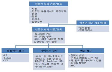 돼지에서의 인플루엔자 병원성실험을 위한 기준 및 평가항목