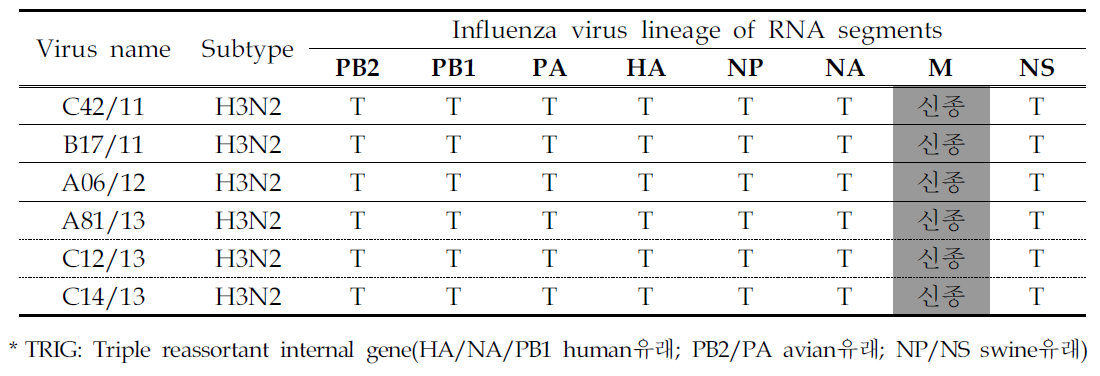재조합 돼지인플루엔자바이러스 H3N2의 유전자 특성