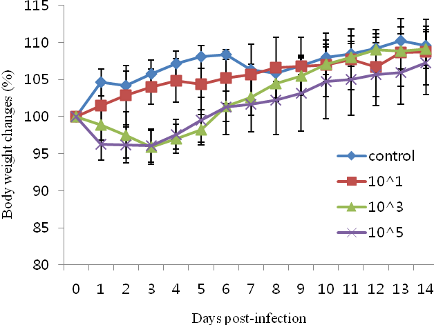 돼지인플루엔자 바이러스 A/swine/Korea/A18/2011을 마우스에 접종 후 체중변화