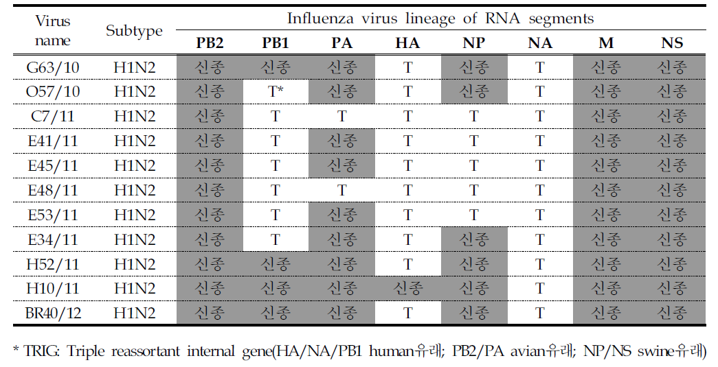 재조합 돼지인플루엔자바이러스 H1N2의 유전자분절 조합