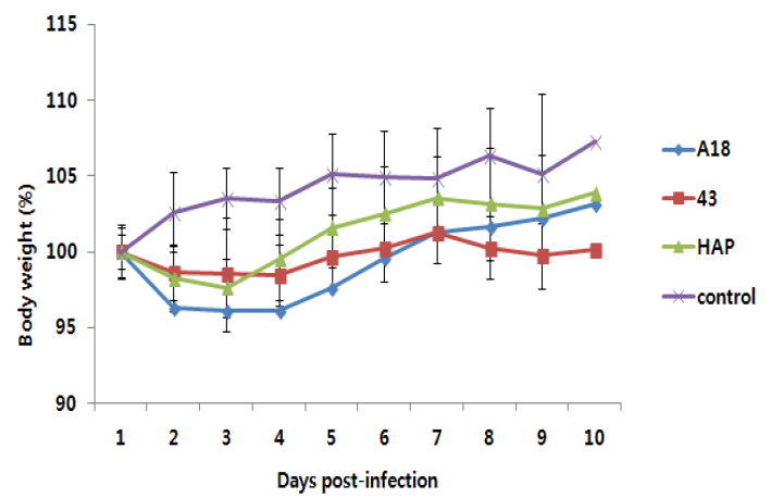 돼지인플루엔자 바이러스 4주 접종 후 마우스에서의 체중변화