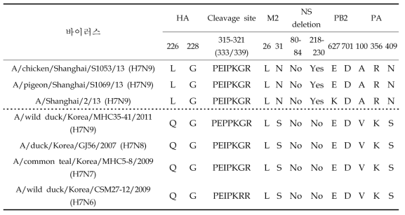 인체감염 H7N9형 AIV와 국내 분리 H7 AIV 주요 아미노산 비교