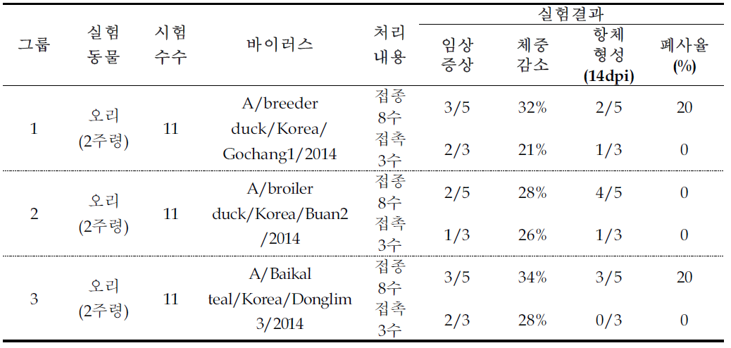 2014년 H5N8 HPAI에 대한 자연감염 경로를 통한 병원성 확인