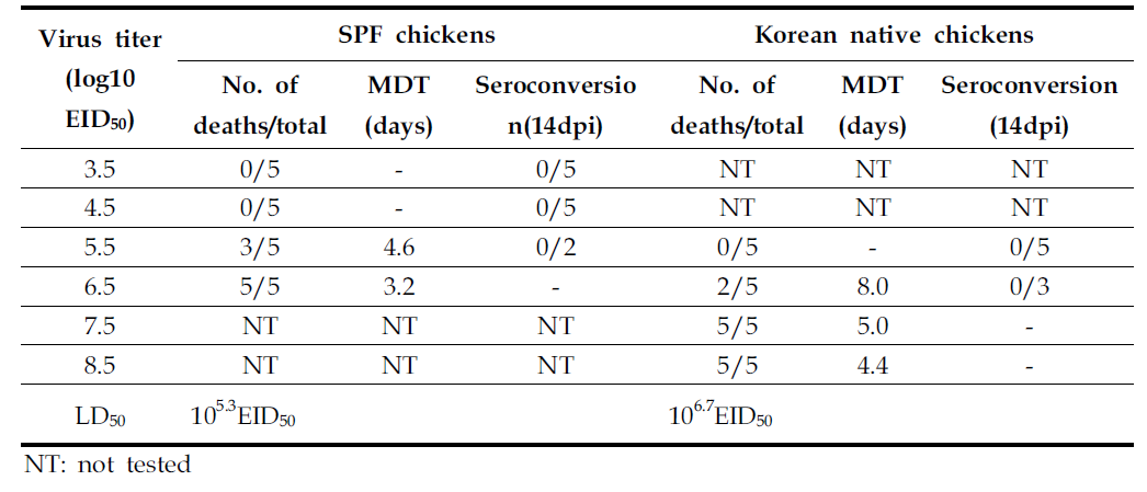 A/broiler duck/Korea/Buan2/2014(H5N8) 바이러스 용량별 비강접종시 SPF 닭과 토종닭에서의 폐사율 및 평균치사시간(MDT)