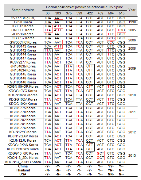 국내 PEDV S 단백질의 positive selected mutation