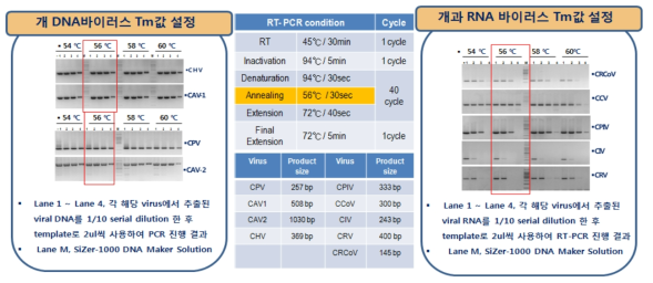 개 바이러스질병 Multiplex (RT)-PCR을 위한 조건설정