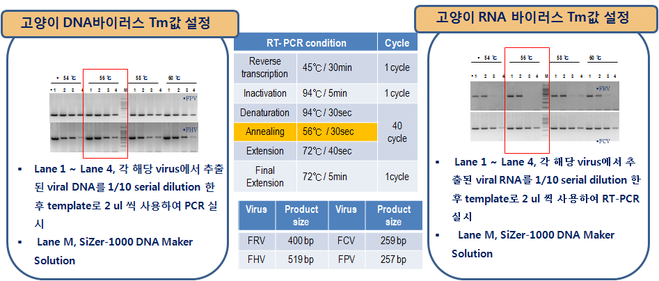 고양이 바이러스질병 Multiplex (RT)-PCR 확립을 위한 조건설정