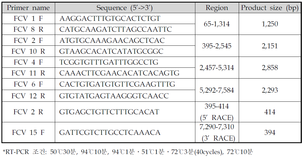 FCV 전체 유전자 분석을 위한 프라이머