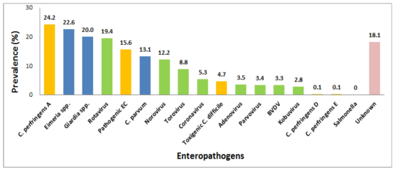 Prevalence of enteropathogens detected from diarrheic fecal sample of calves (n=921)