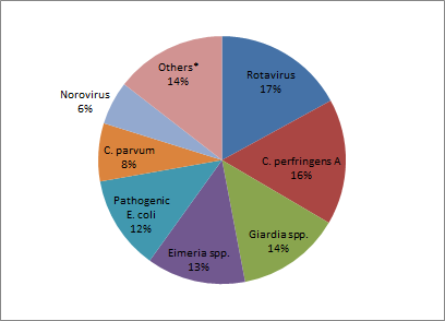 Prevalence of case detected single pathogen (n = 317) Others: torovirus, coronavirus, BVDV, parvovirus, Kobuvirus, adenovirus, Toxigenic C. difficile