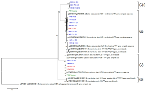 Phylogenetic tree of bovine rotavirus VP7 gene