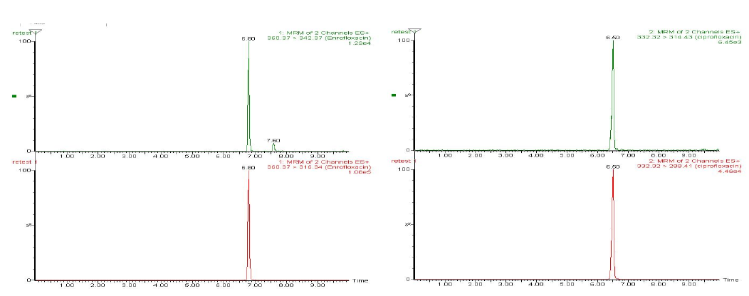 Ion selection and extracted chromatogram of enrofloxacin (left) and ciprofloxacin (right)