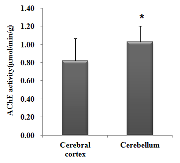 소의 대뇌 및 소뇌에서의 AChE 활성도 차이 (μmol/min/g, 농약 불검출 시료)